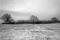 Keep walking in the cold, the rain, and the sun. Your camera will see it. You may not see it until you place the picture on the wall, but trust me, hidden in the picture in plain sight is beauty untainted.